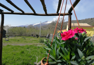 Agriturismo Dimora storica Viola Nel Parco